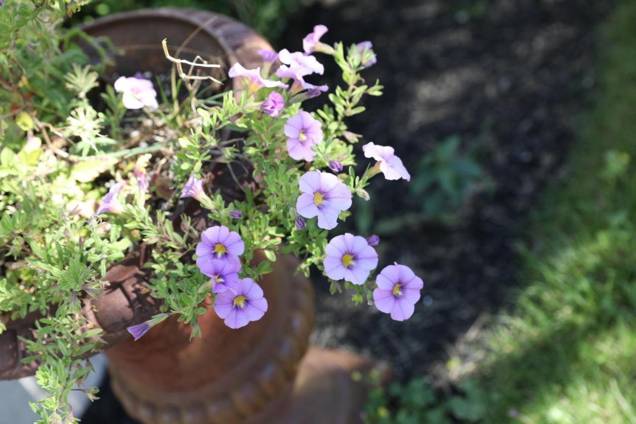 An English Garden Dennisport Exterior photo