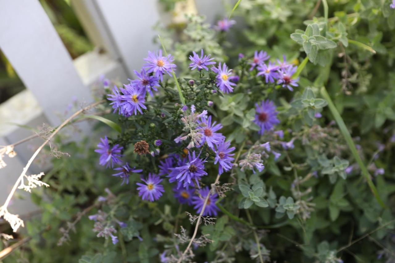 An English Garden Dennisport Exterior photo